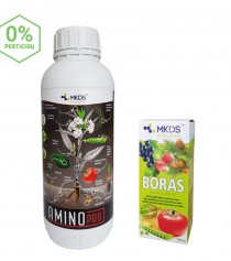 Žydi, bet nemezga – rinkinys